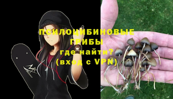 ALPHA PVP Болотное