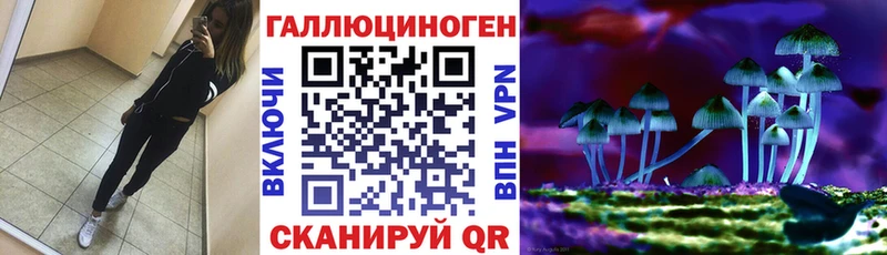 Галлюциногенные грибы GOLDEN TEACHER  наркотики  Избербаш 