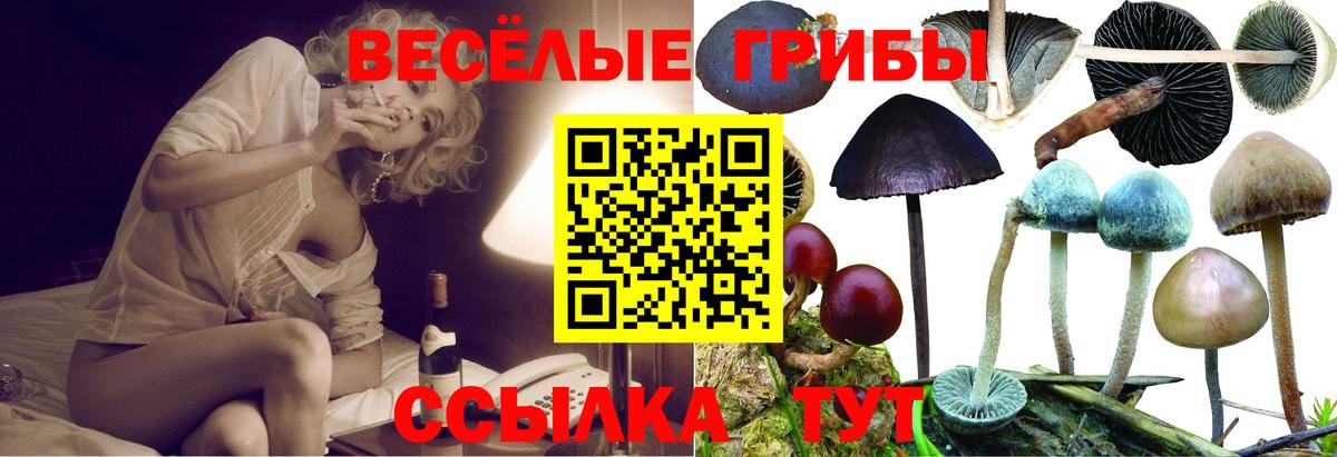 Псилоцибиновые грибы GOLDEN TEACHER  Псилоцибиновые грибы мухоморы  Избербаш 